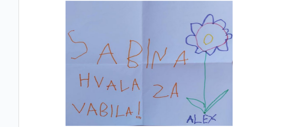 5 temeljnih vrednot slovenije sabina