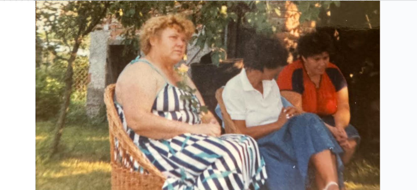 5 temeljnih vrednot slovenije jabolka