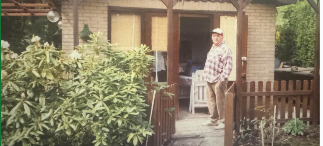 5 temeljnih vrednot slovenije joze