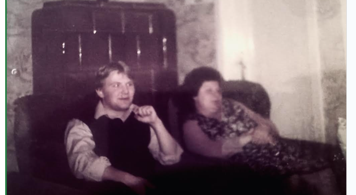 5 temeljnih vrednot slovenije malo