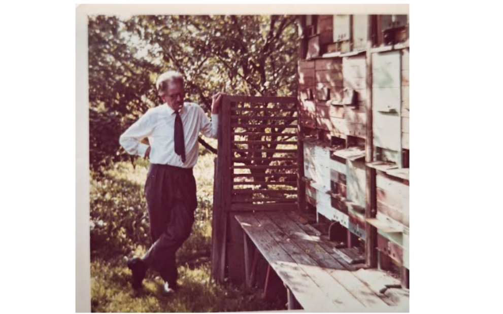 5 temeljnih vrednot slovenije cebelar