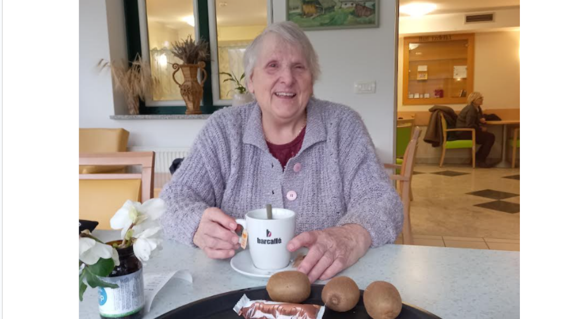 5 temeljnih vrednot slovenije vriskanje