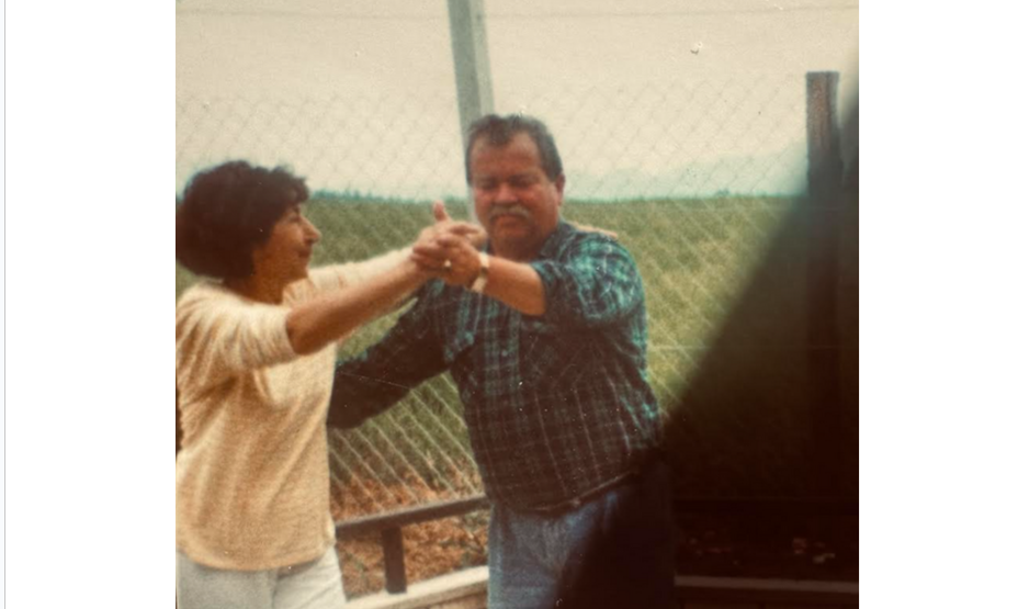 5 temeljnih vrednot slovenije ples