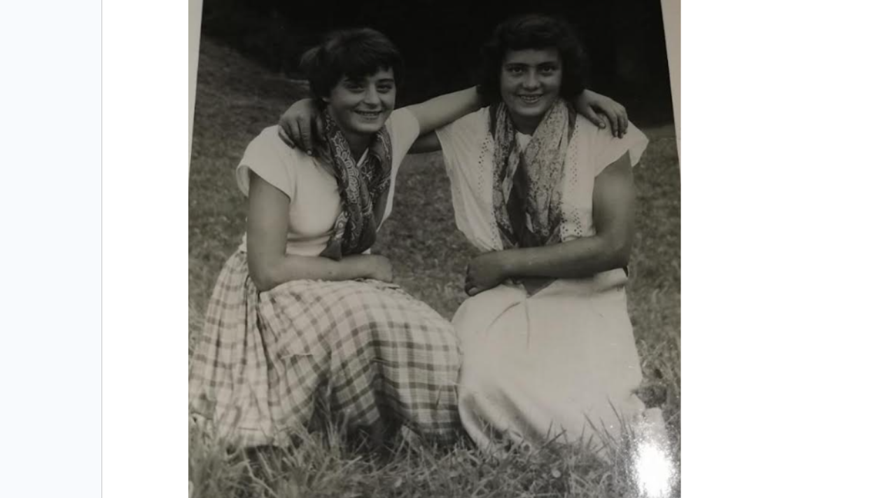 5 temeljnih vrednot slovenije marjana