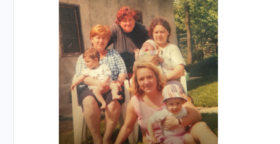 5 temeljnih vrednot slovenije dom ni prostor