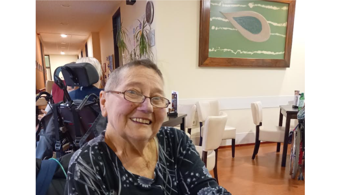 5 temeljnih vrednot slovenije to ni moje